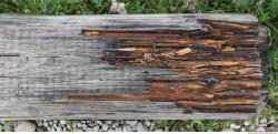 Photo Textures of Wood